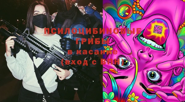трава Арсеньев