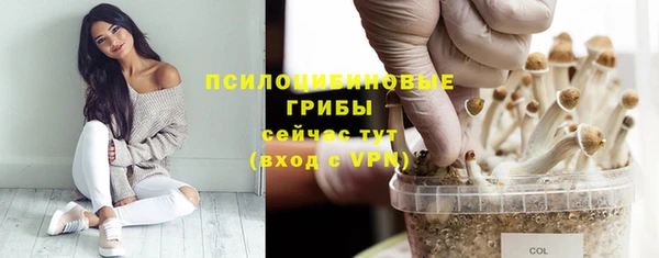 не бодяженный Армянск