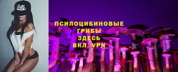 СК Аркадак