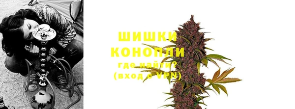 трава Арсеньев