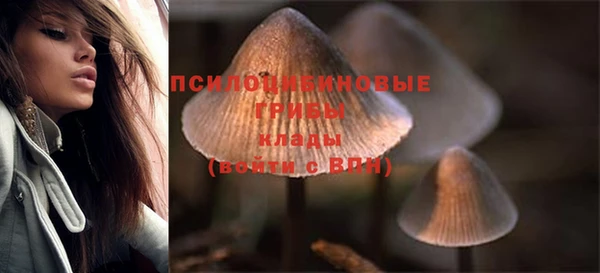 ешки Новодвинск