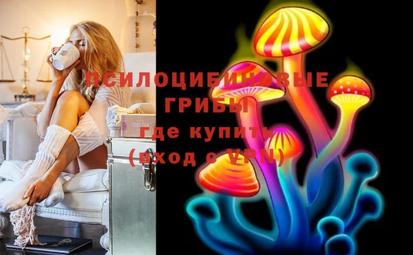 трава Арсеньев