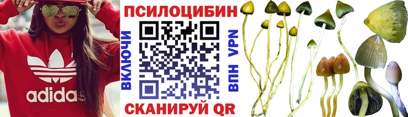 Псилоцибиновые грибы Psilocybe  цена   мега ССЫЛКА  Подпорожье 