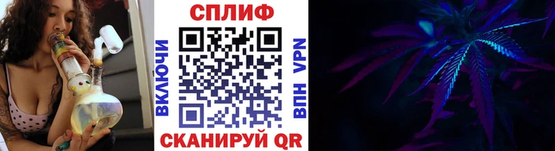 Бошки Шишки SATIVA & INDICA  где купить наркоту  omg ссылка  Подпорожье 